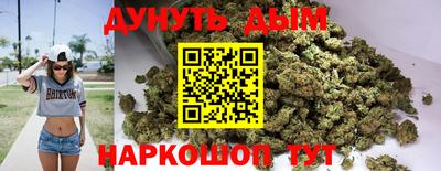 стаф Сланцы