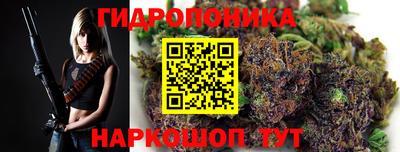 твердый Славгород