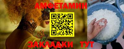 стаф Сланцы