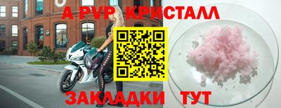 стаф Сланцы