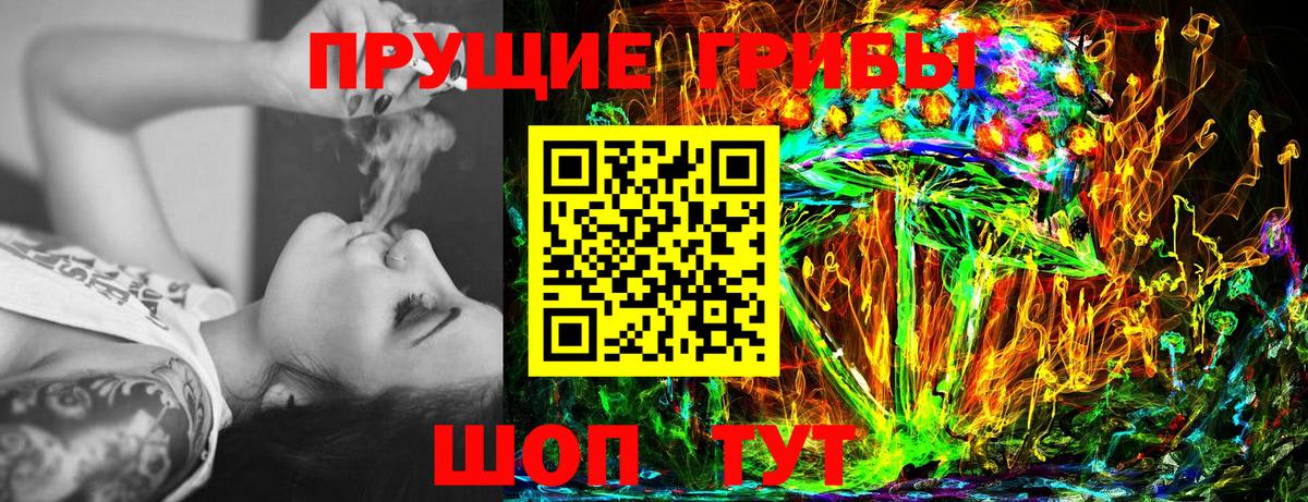 Галлюциногенные грибы Psilocybine cubensis Можайск